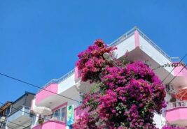Avşa Adası’nda Denize Yakın Motel