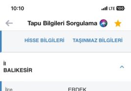 Ballıpınar ‘da Zeytinlik